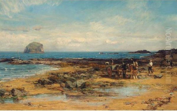 Bass Rock - view 1