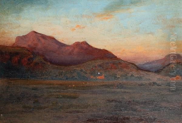 Evening Landscape - view 1
