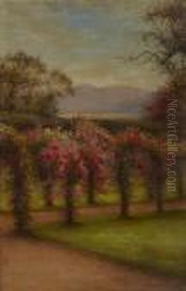 Roses In Finzean - view 1