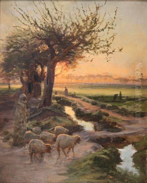 Near Cairo - view 1
