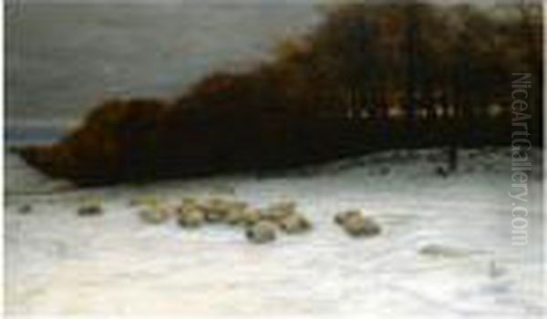 When Snow The Pasture Sheets - view 1