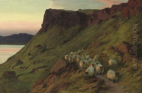 Sheep Below The Greeben Cliff, Mull, Evening - view 1
