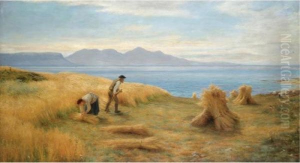 Harvesting - view 1