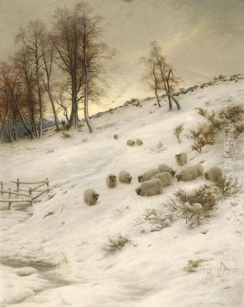 Sheep In A Snow Covered Landscape - view 1
