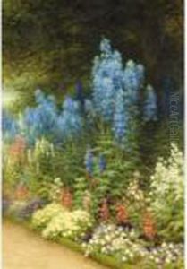 A Corner Of My Garden At Finzean