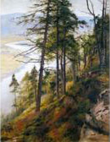 On The Dee - view 1