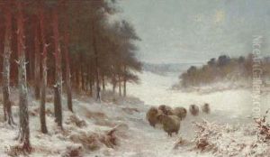 Sheep In A Snowy Landscape Sheep In A Snowy Landscape