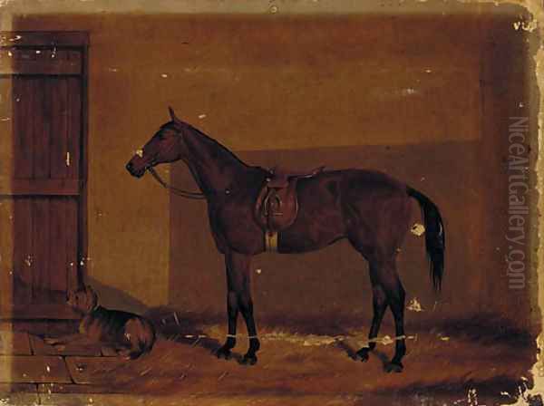 A saddled chestnut hunter with a dog in a stable - view 1