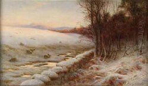 Sheep In A Snow Covered Landscape - view 1