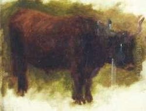A Rough Cattle Beast