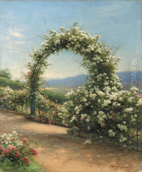 Roses: Finzean, Aberdeenshire - view 1
