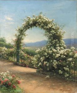 Roses: Finzean, Aberdeenshire