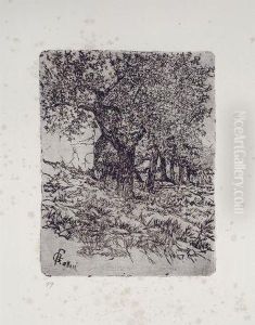 Alberi Alberi