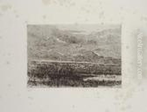 Palude - view 1