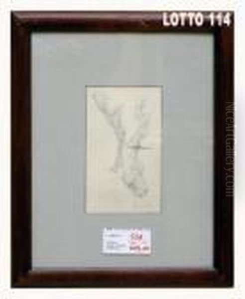 Studio Dicavalli - view 1