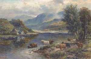 Highland cattle watering at a loch