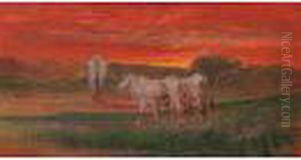 Buoi Al Tramonto - view 1
