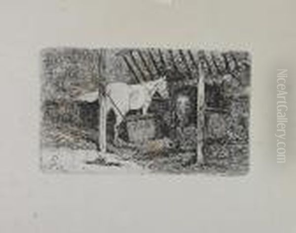 Interno Di Stalla Con Cavallo - view 1
