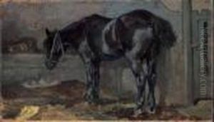 Cavallo Nella Stalla