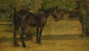 Cavallo Al Sole by Giovanni Fattori