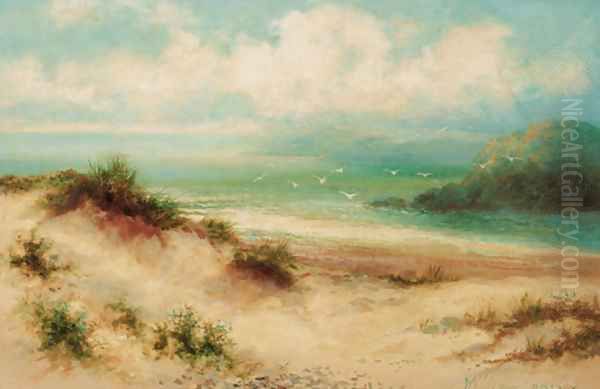 Where land meets sea - view 1