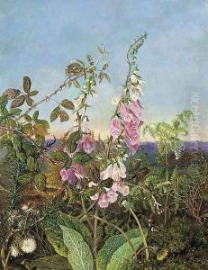 A summer hedgerow by Albert Durer Lucas