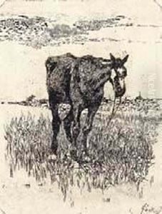 Il Vecchio Cavallo