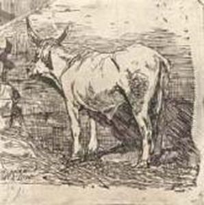 Bove Nella Stalla by Giovanni Fattori