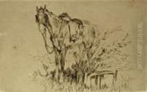 Cavallo