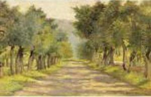 Uliveto Di Antignano Uliveto Di Antignano