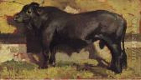 Il Toro Nero - view 1