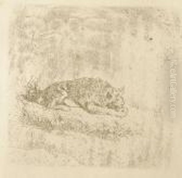 Cane Che Dorme - view 1