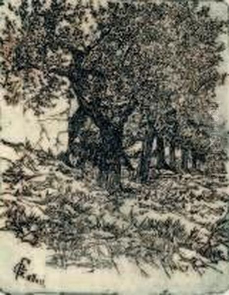 Alberi - view 1