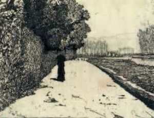 Lungarno Alle Cascine Lungarno Alle Cascine