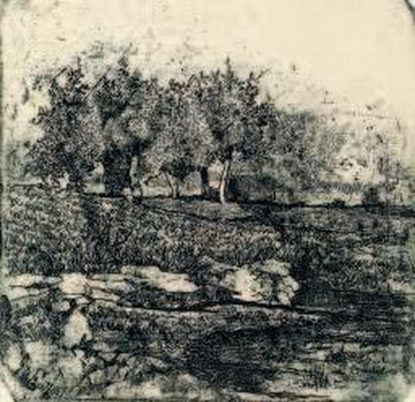 Paesaggio Con Alberi - view 1