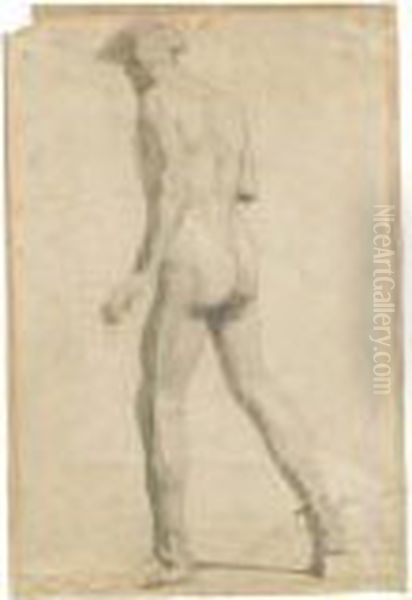 Nudo Virile - view 1
