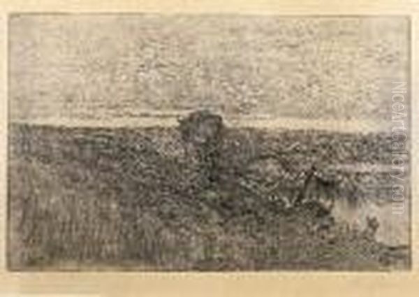 Adua - view 1