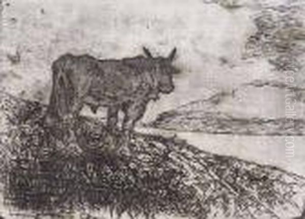 Un Toro - view 1