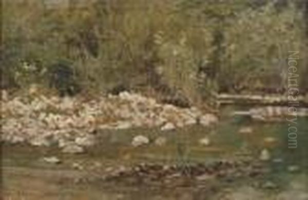Ruscello In Maremma, 1880-1885 - view 1