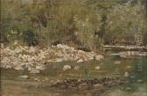Ruscello In Maremma, 1880-1885