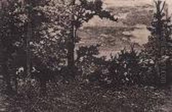 Paesaggio Toscano - view 1