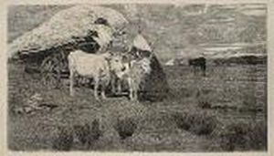 Maremma: Bovi Al Carro