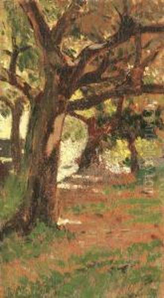 A Shady Path - view 1