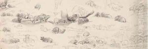 Studies of sheep by Sir Edwin Henry Landseer