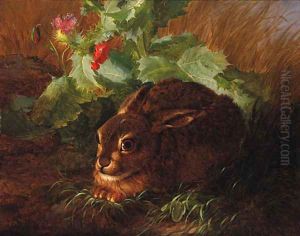 A Rabbit in long Grass by Andreas Lach