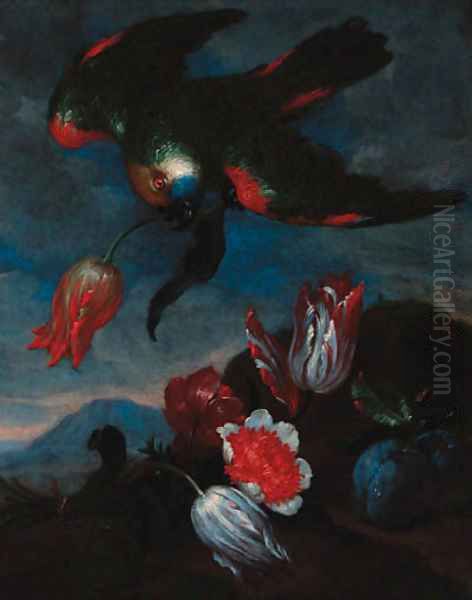 A carnation - view 1