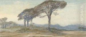 Respite from the afternoon sun by Edward Lear