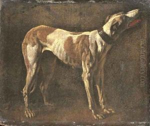 A greyhound