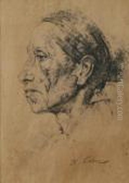 Portrait Of An Indian Woman - view 1