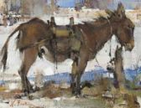 Burro Tethered - view 1